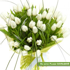 Букет белых тюльпанов на зелени