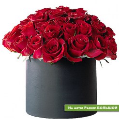 Букет бордовых роз в коробке