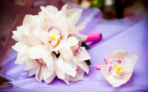 Орхидеи – оригинальный выбор невесты